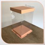 17x17x28 Pembe Karton ve Asetat Kutu (HM29) 17x17x28 Pembe Karton ve Asetat Kutu (HM29)